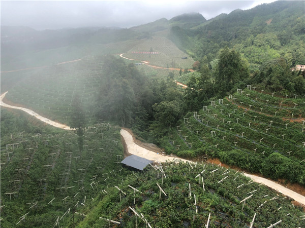 樂(lè)業(yè)縣鄉(xiāng)村振興戰(zhàn)略規(guī)劃（2018—2022年）編制